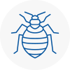 Bed Bug Extermination In Carshalton Beeches