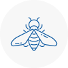 Bee Nest Removal Carshalton Beeches