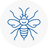 Carshalton Beeches Hornet Nest Removals