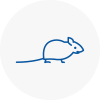 Mice Exterminators In Carshalton Beeches