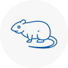 Rat Control Carshalton Beeches
