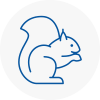 Carshalton Beeches Rodent Removals