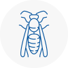Carshalton Beeches Wasp Nest Removal
